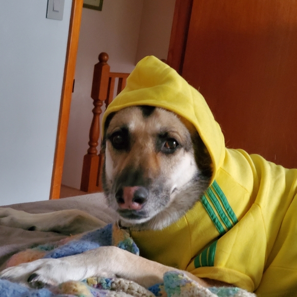 Meet your Posher, Jason - Picture 3 of 3